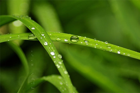 htmx.js一个使Html也可以发送请求的库-桔子雨